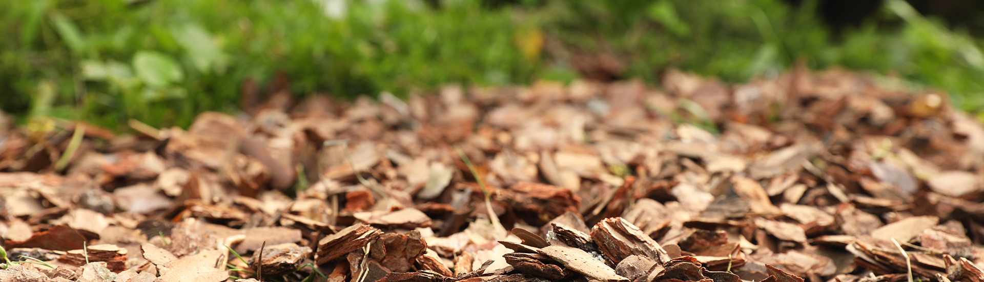 product - soils and products for mulching - Courtesy