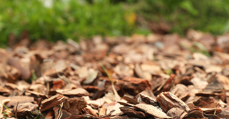 product - soils and products for mulching - Courtesy