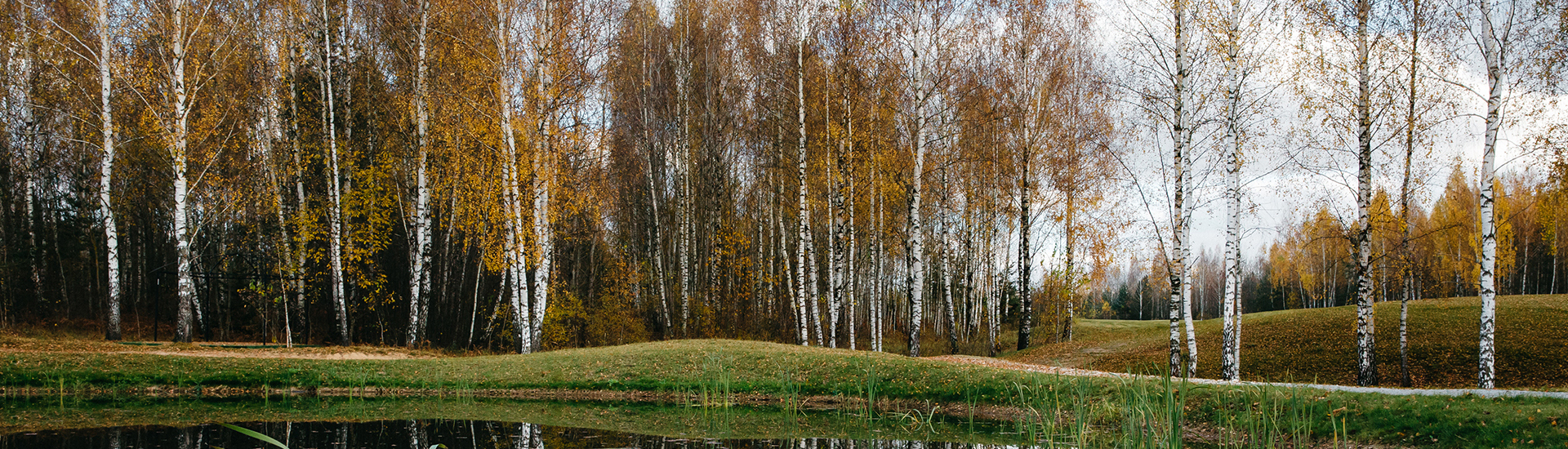 per chi lavoriamo - aziende forestali