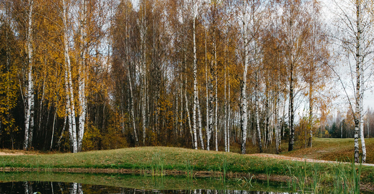 per chi lavoriamo - aziende forestali